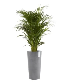 Ecopots Kunststoff-Topf Amsterdam hoch, rund