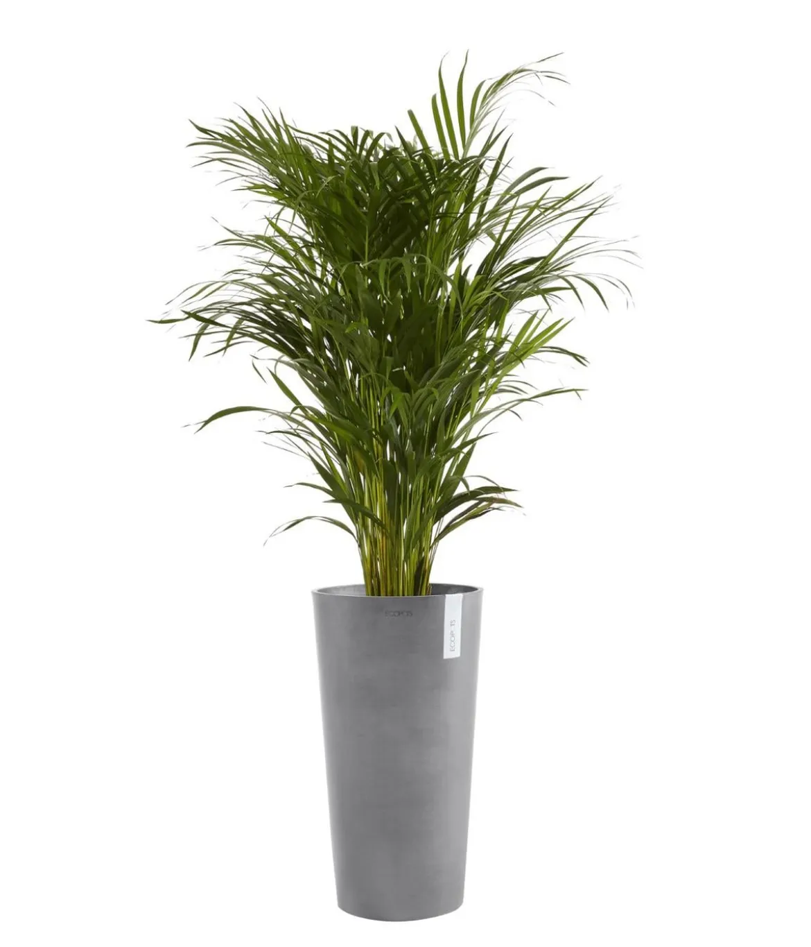 Ecopots Kunststoff-Topf Amsterdam hoch, rund