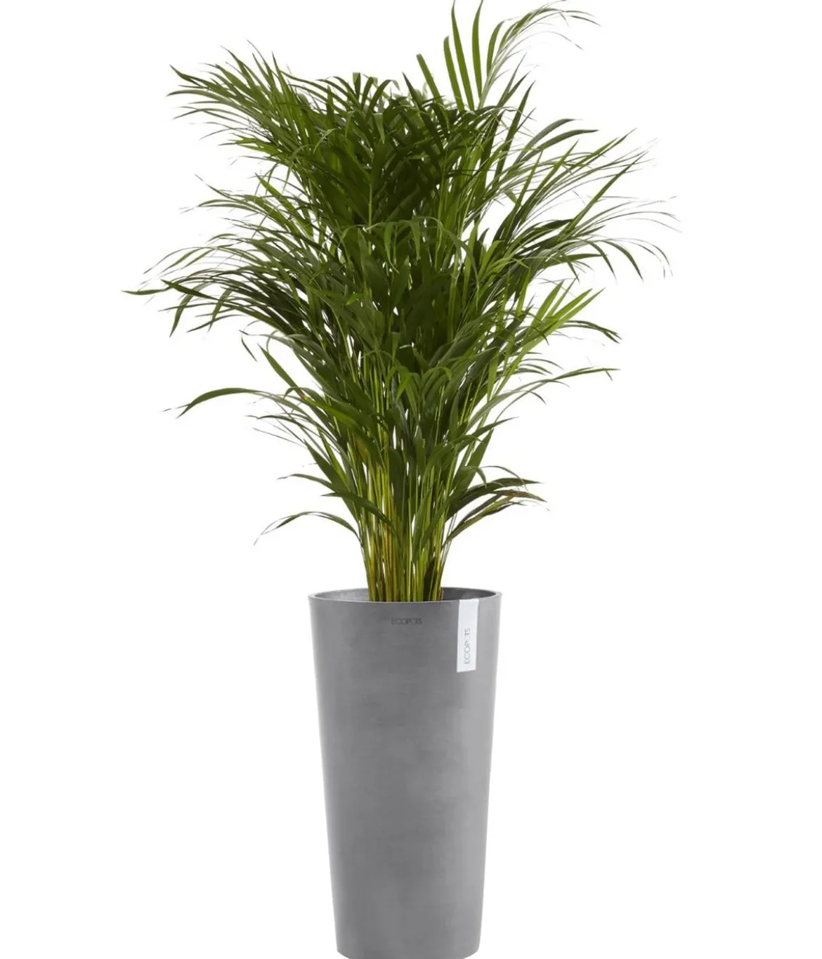 Ecopots Kunststoff-Topf Amsterdam hoch, rund