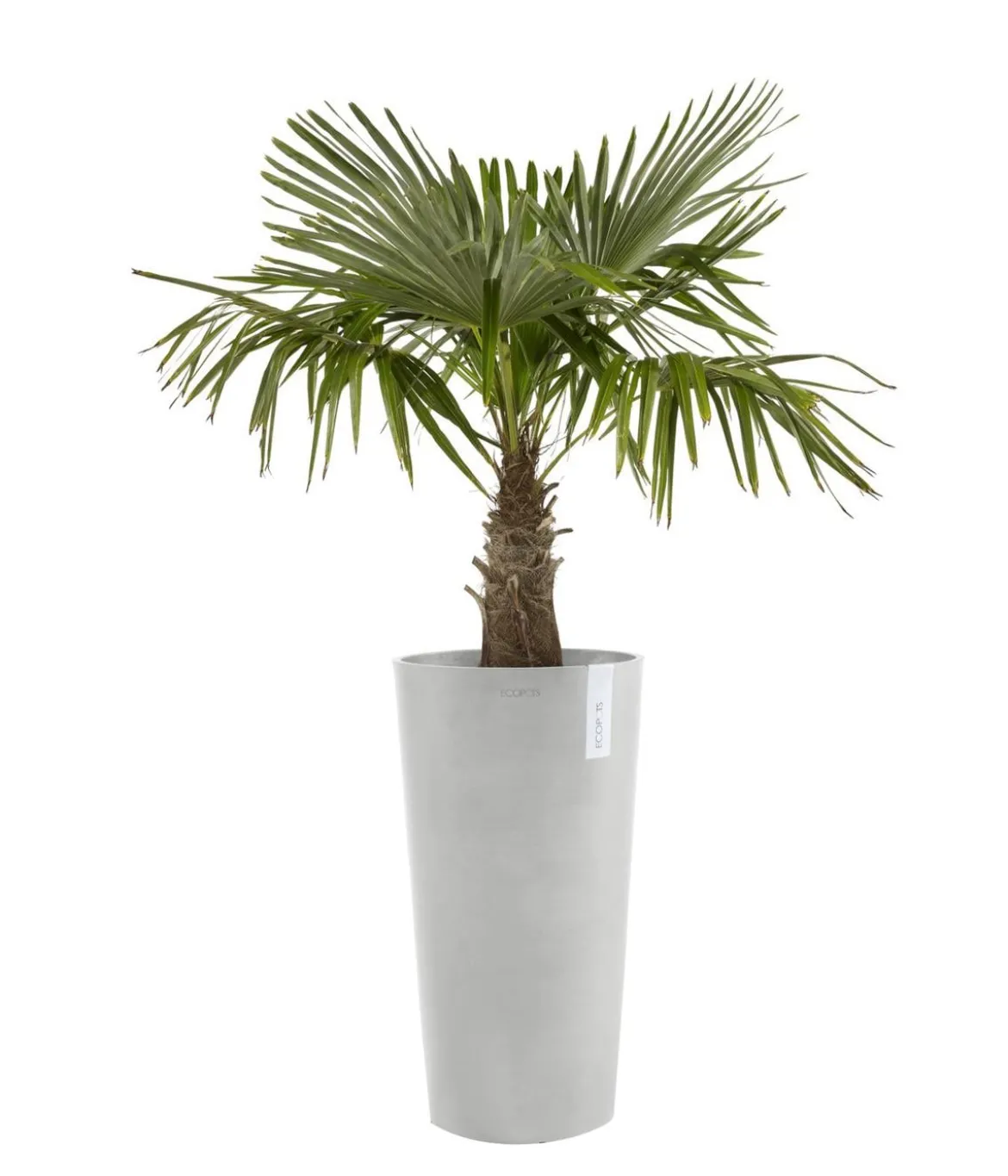 Ecopots Kunststoff-Topf Amsterdam hoch, rund