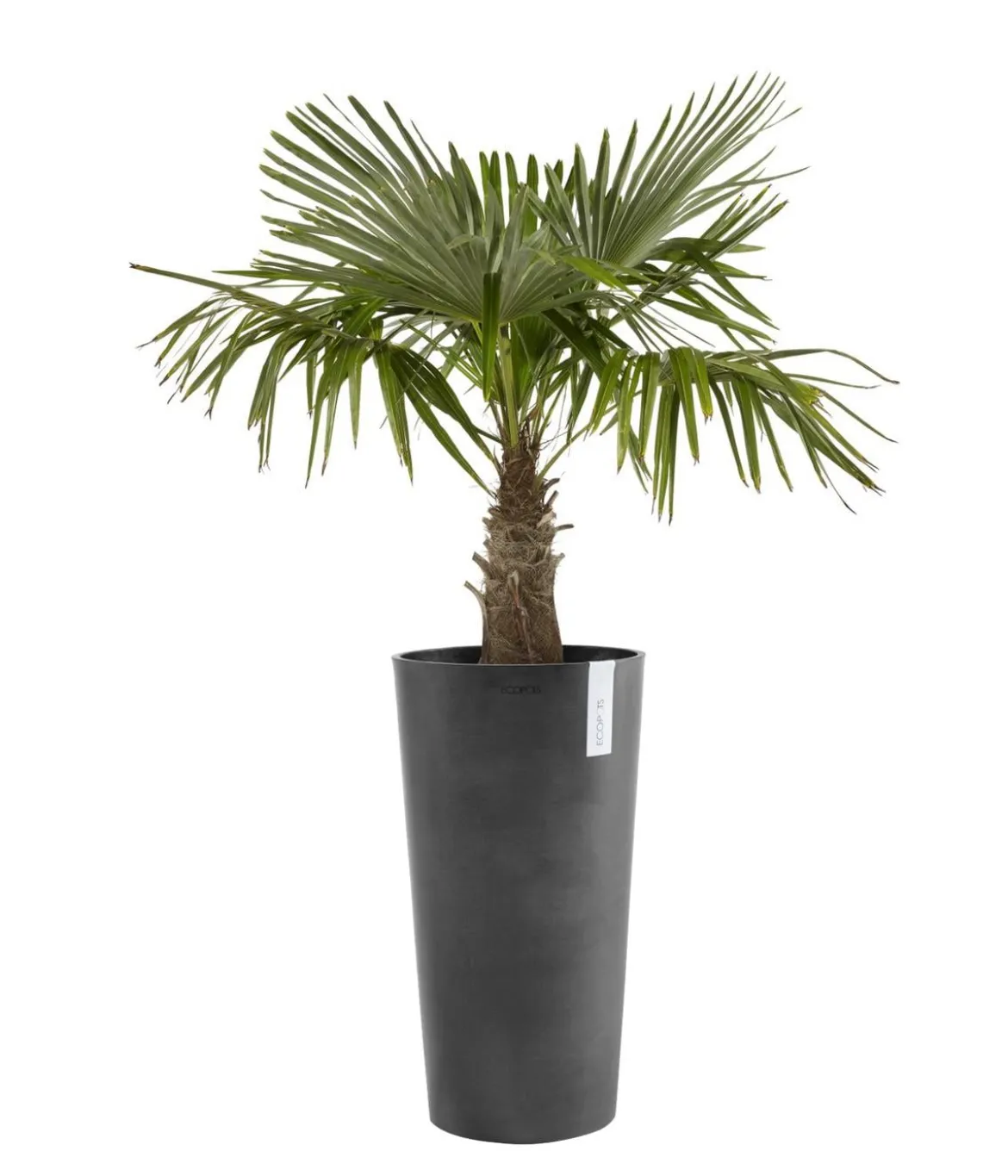 Ecopots Kunststoff-Topf Amsterdam hoch, rund