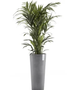Ecopots Kunststoff-Topf Amsterdam hoch, rund
