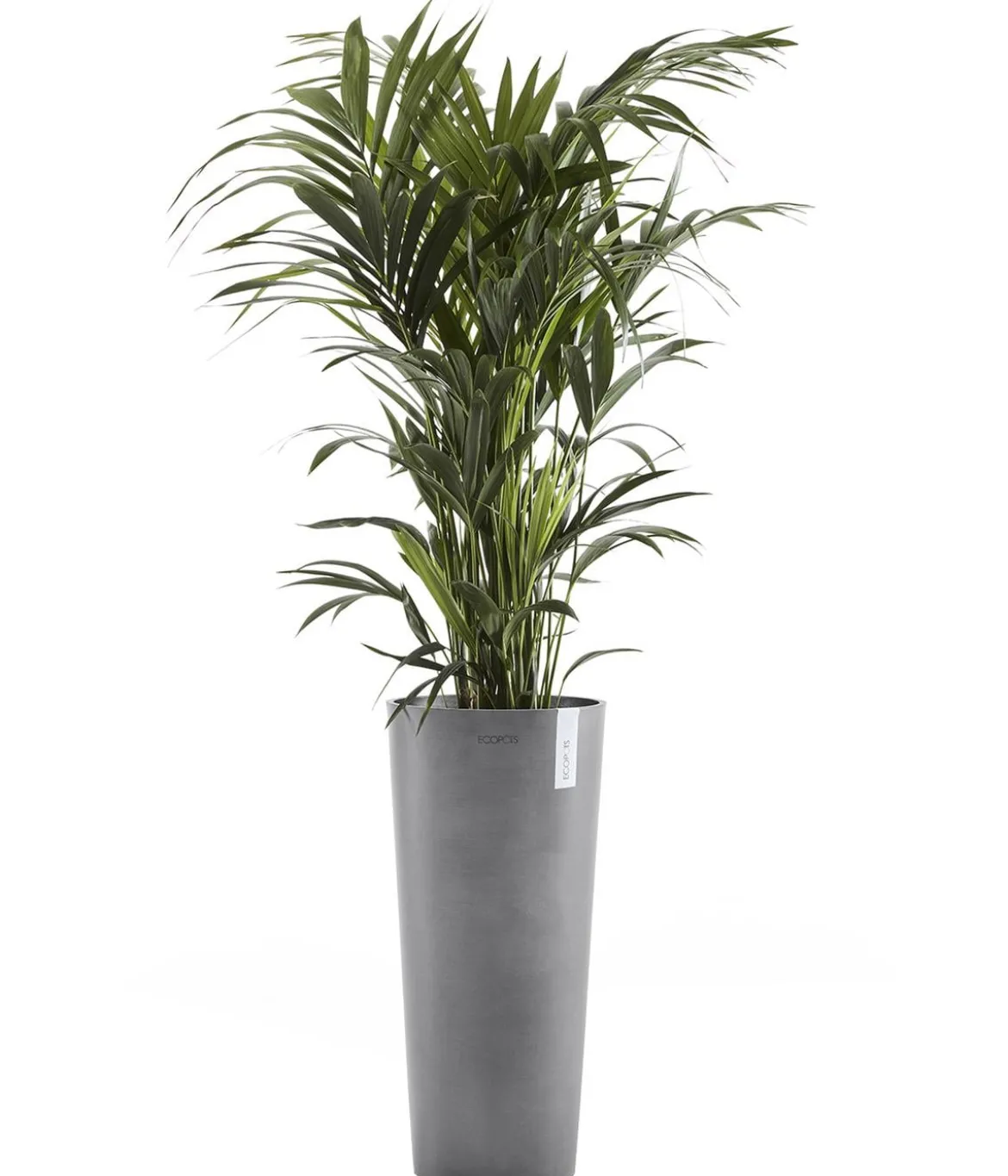 Ecopots Kunststoff-Topf Amsterdam hoch, rund