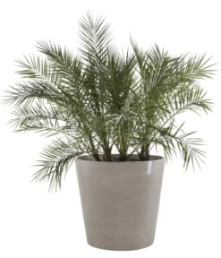 Ecopots Kunststoff-Topf Amsterdam mit Rollen, rund