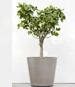 Ecopots Kunststoff-Topf Amsterdam mit Rollen, rund