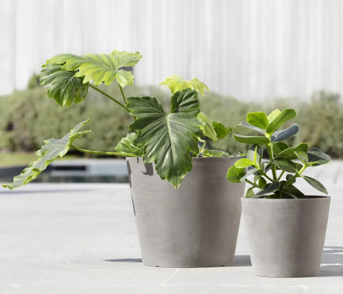 Ecopots Kunststoff-Topf Amsterdam mit Wassersystem, rund