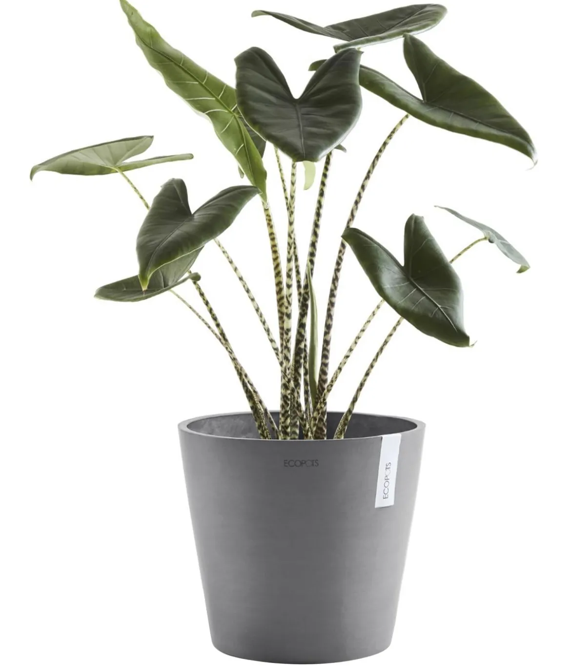 Ecopots Kunststoff-Topf Amsterdam, rund