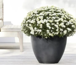 Ecopots Kunststoff-Topf Antwerp, rund