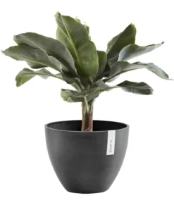Ecopots Kunststoff-Topf Antwerp, rund
