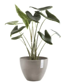 Ecopots Kunststoff-Topf Antwerp, rund