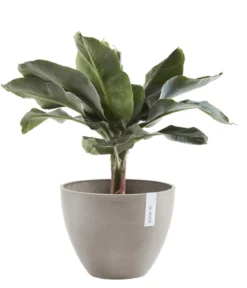Ecopots Kunststoff-Topf Antwerp, rund