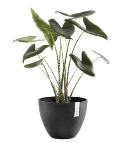 Ecopots Kunststoff-Topf Antwerp, rund