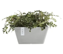 Ecopots Kunststoff-Topf Berlin, quadratisch