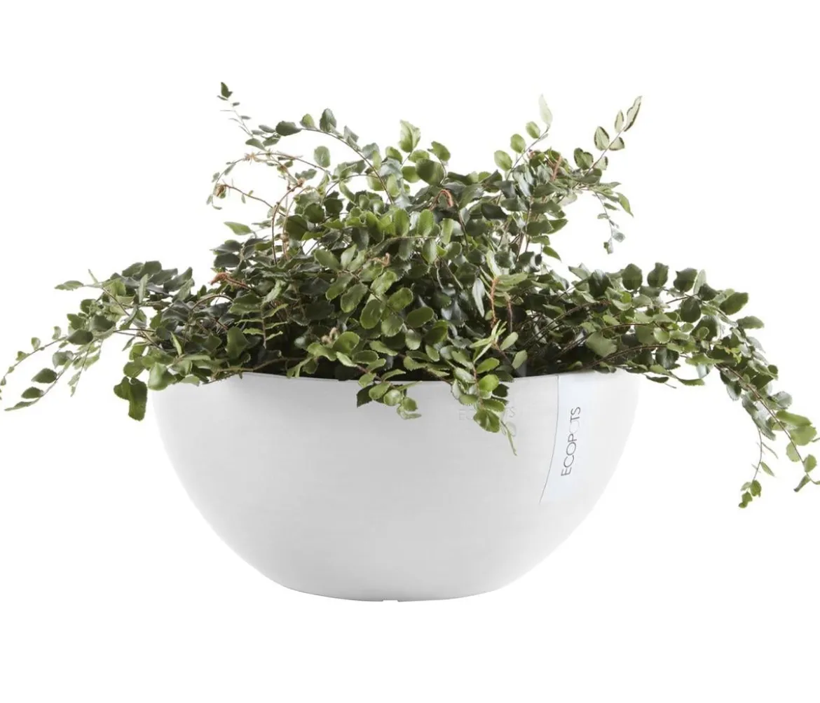 Ecopots Kunststoff-Topf Brussels, rund