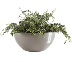 Ecopots Kunststoff-Topf Brussels, rund