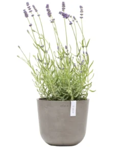 Ecopots Kunststoff-Topf Oslo Mini, rund