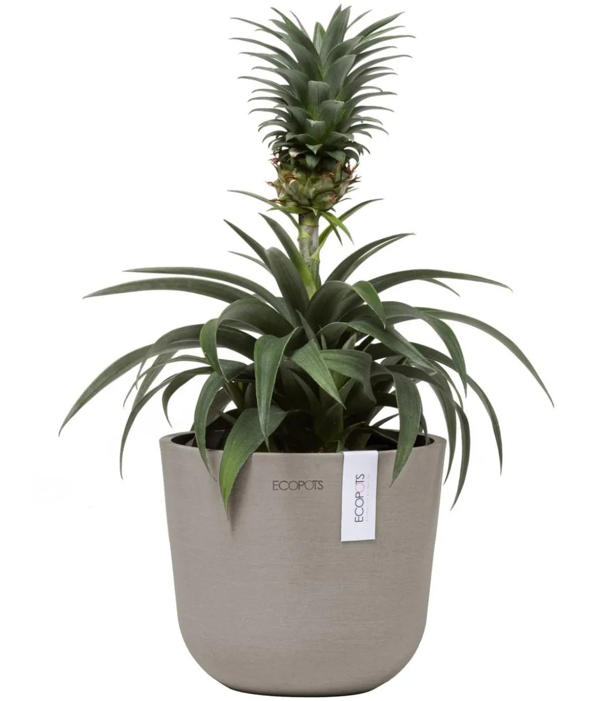 Ecopots Kunststoff-Topf Oslo Mini, rund