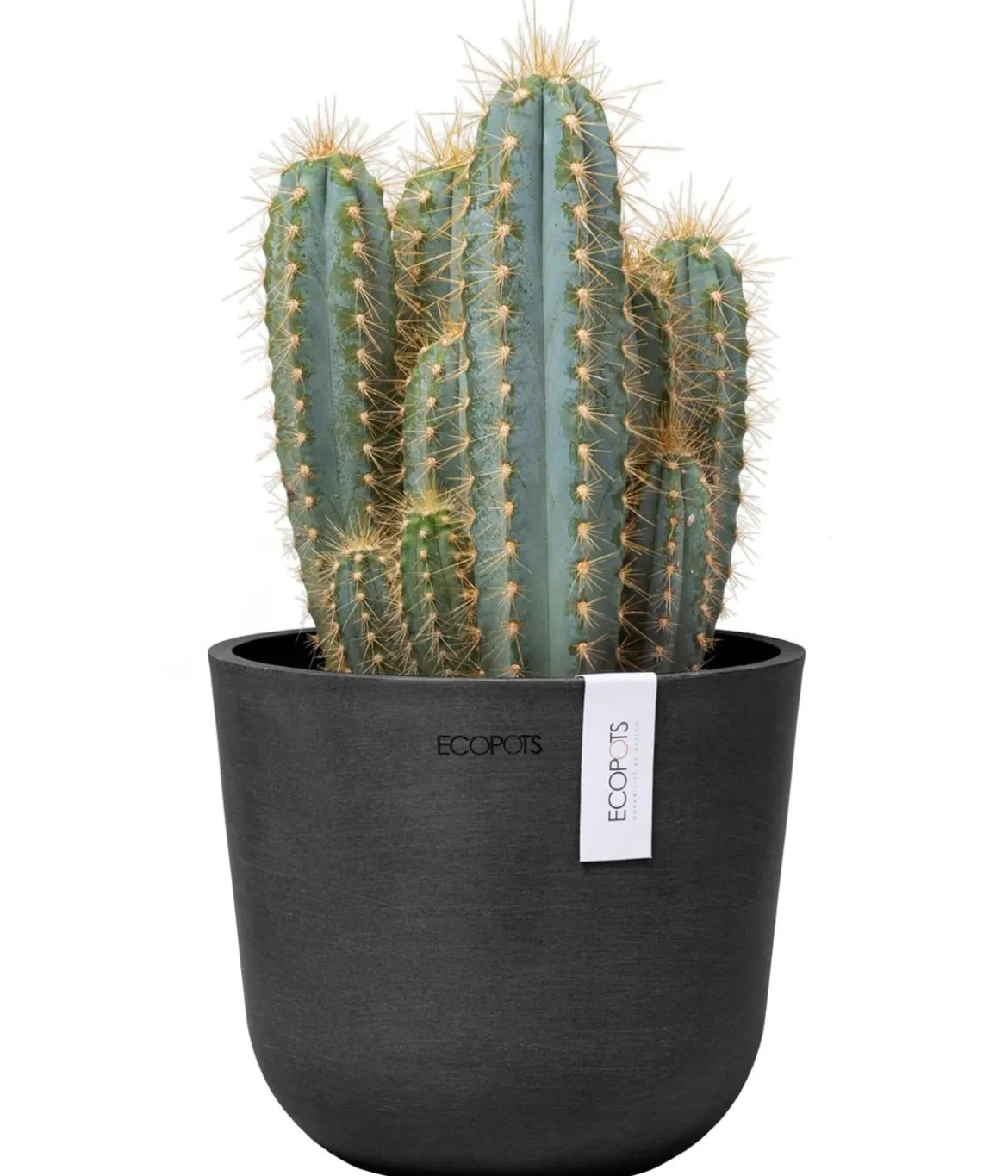 Ecopots Kunststoff-Topf Oslo Mini, rund