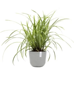 Ecopots Kunststoff-Topf Oslo Mini, rund