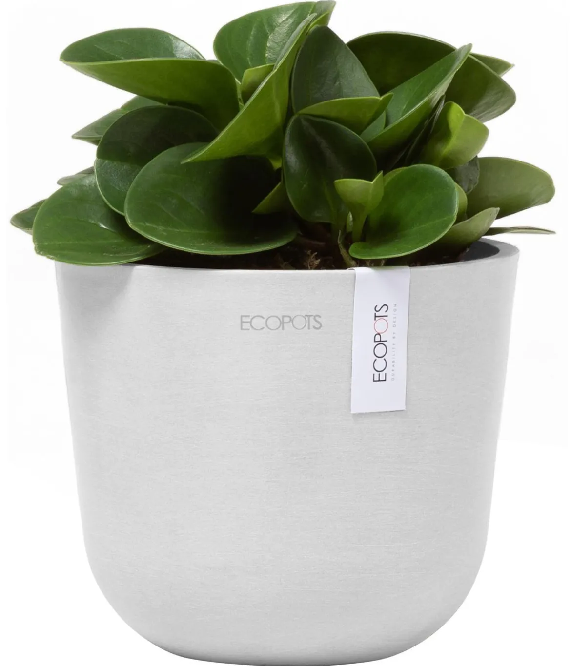 Ecopots Kunststoff-Topf Oslo Mini, rund
