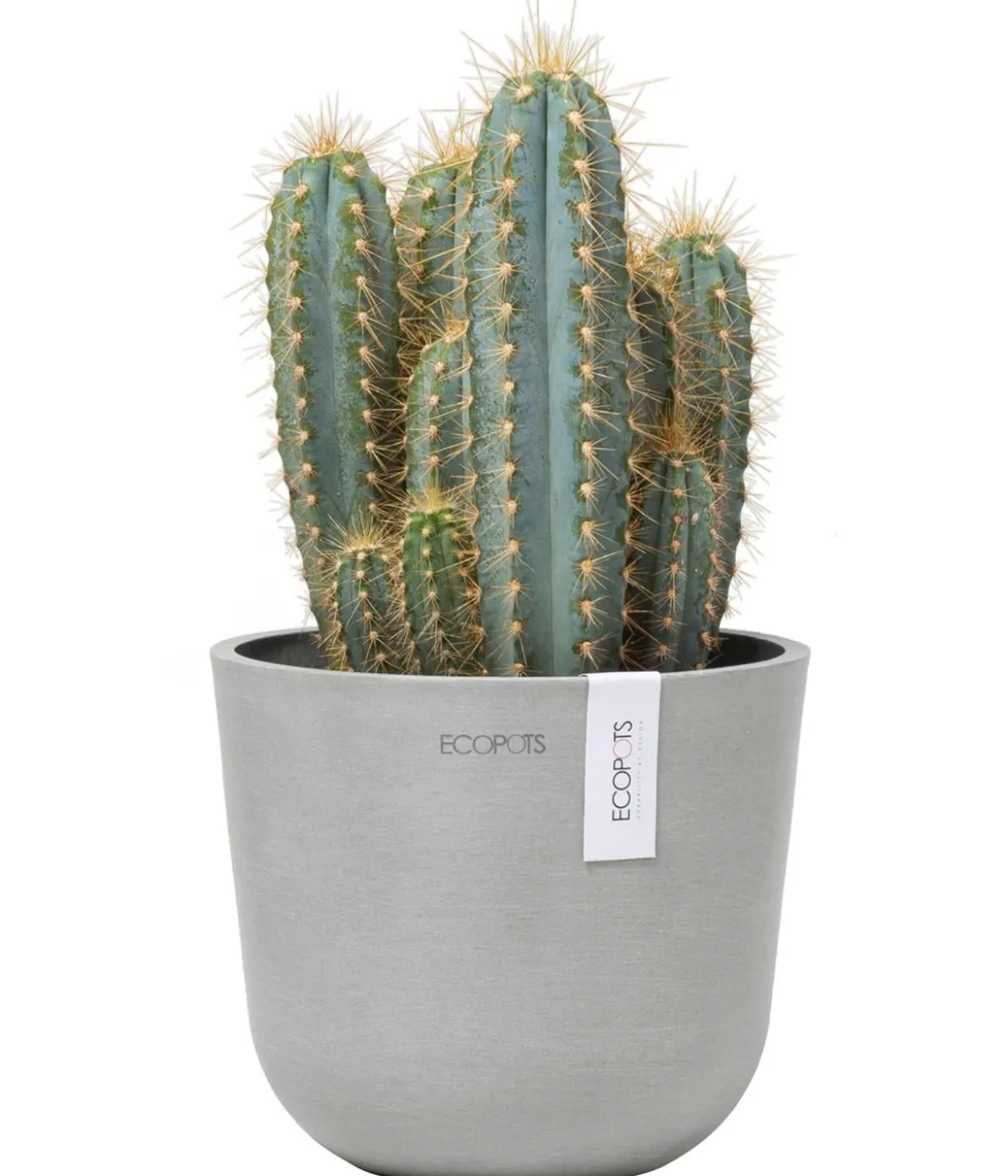 Ecopots Kunststoff-Topf Oslo Mini, rund