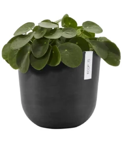 Ecopots Kunststoff-Topf Oslo mit Wassersystem, rund