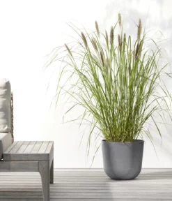 Ecopots Kunststoff-Topf Oslo mit Wassersystem, rund