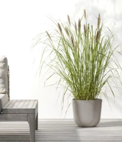 Ecopots Kunststoff-Topf Oslo mit Wassersystem, rund