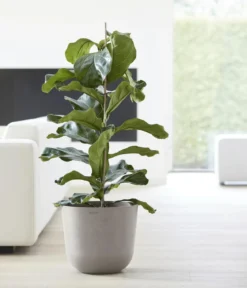 Ecopots Kunststoff-Topf Oslo mit Wassersystem, rund