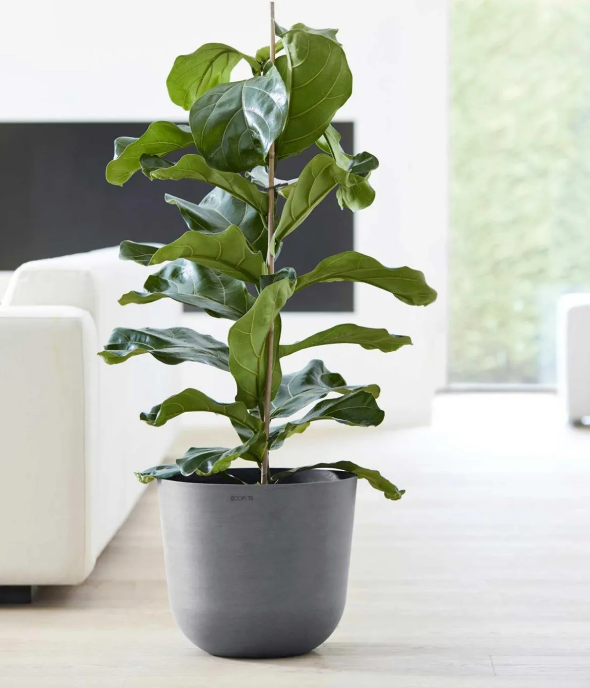 Ecopots Kunststoff-Topf Oslo, rund