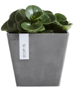 Ecopots Kunststoff-Topf Rotterdam, quadratisch