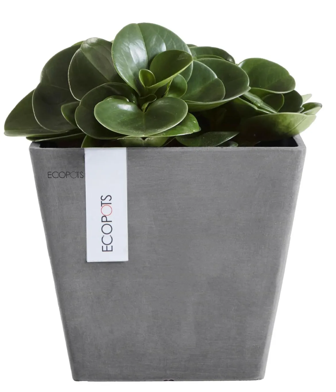 Ecopots Kunststoff-Topf Rotterdam, quadratisch