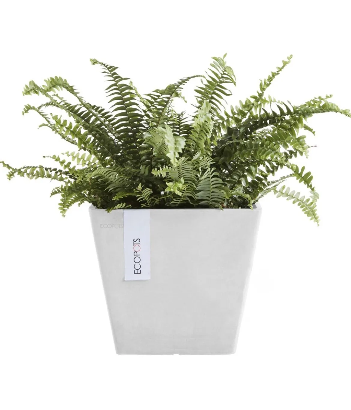 Ecopots Kunststoff-Topf Rotterdam, quadratisch