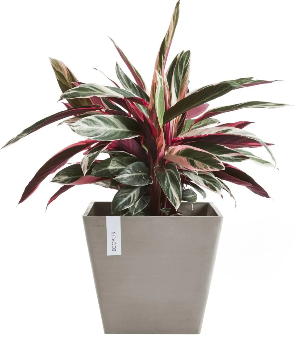 Ecopots Kunststoff-Topf Rotterdam, quadratisch