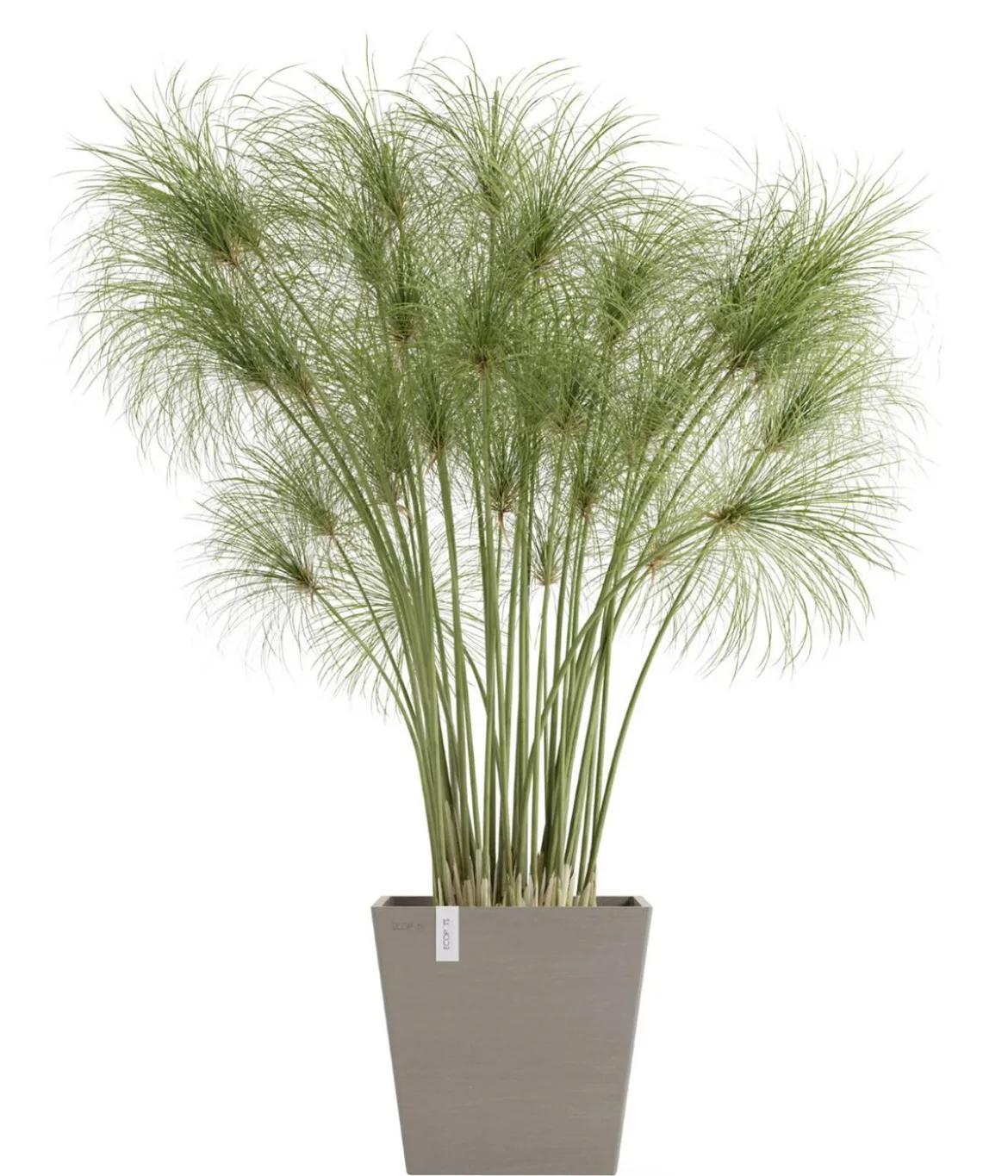 Ecopots Kunststoff-Topf Rotterdam mit Wassersystem, quadratisch