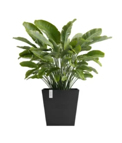 Ecopots Kunststoff-Topf Rotterdam mit Wassersystem, quadratisch
