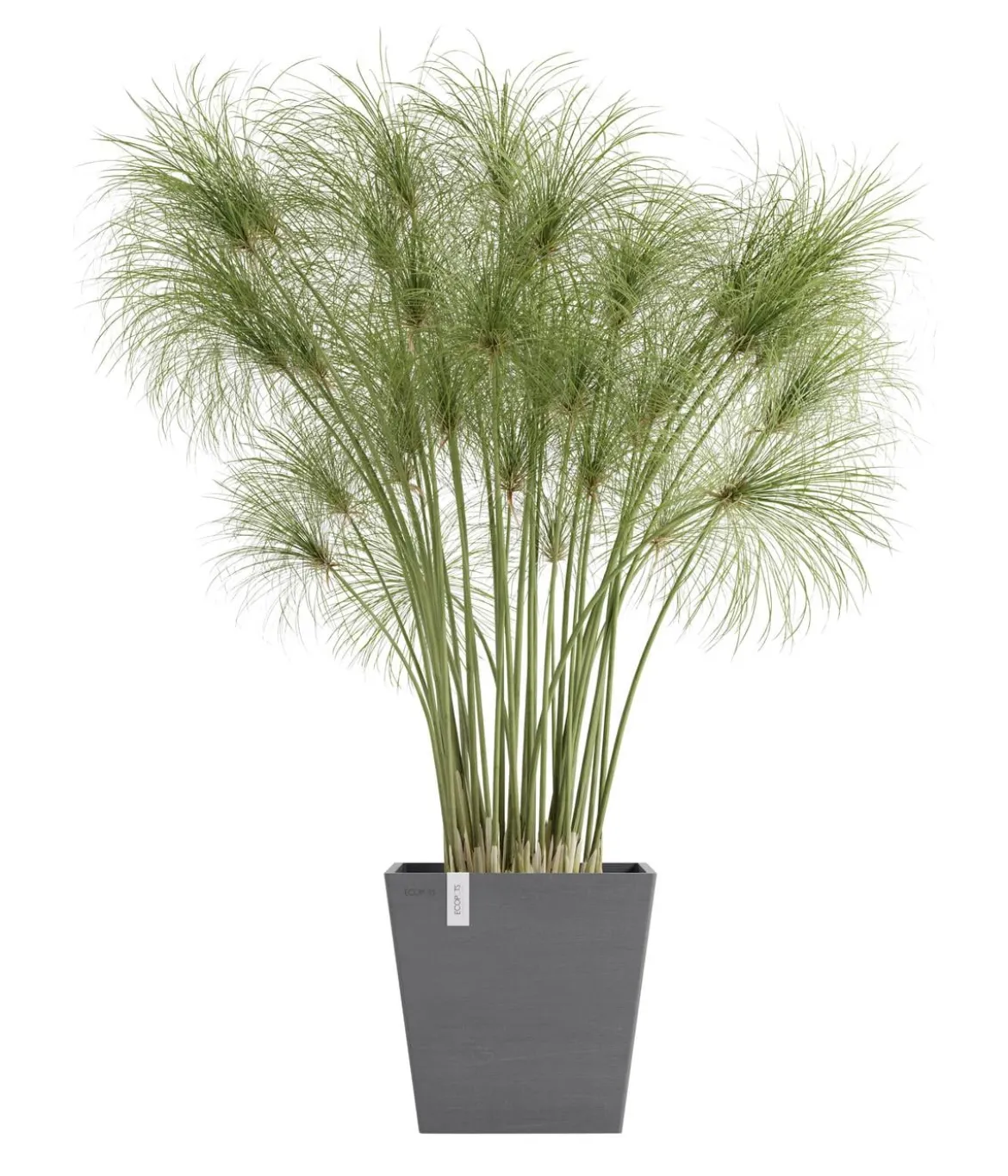 Ecopots Kunststoff-Topf Rotterdam mit Wassersystem, quadratisch