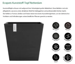 Ecopots Kunststoff-Topf Rotterdam mit Wassersystem, quadratisch