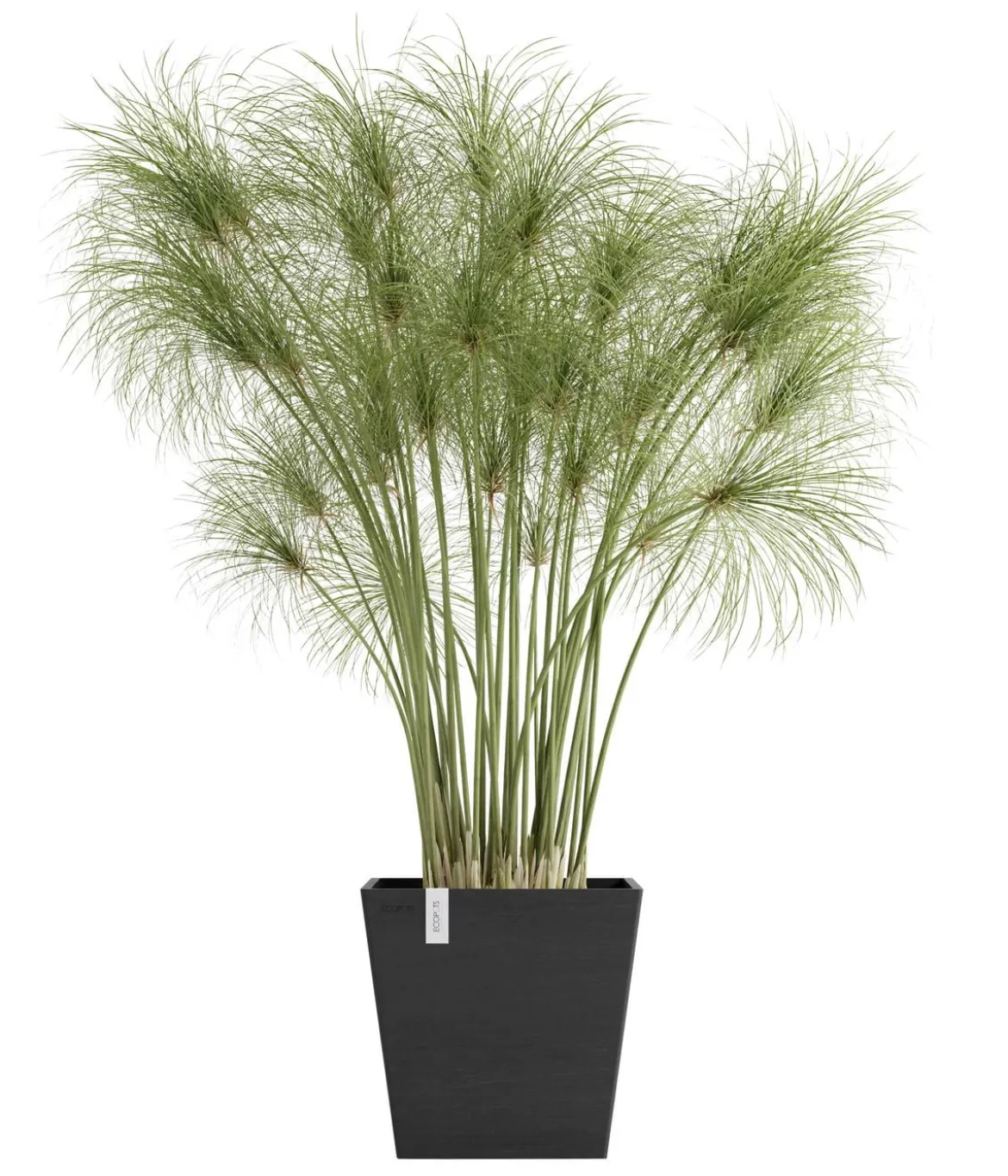 Ecopots Kunststoff-Topf Rotterdam mit Wassersystem, quadratisch