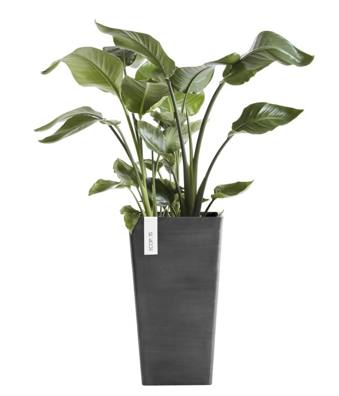 Ecopots Kunststoff-Topf Rotterdam Hoch, quadratisch