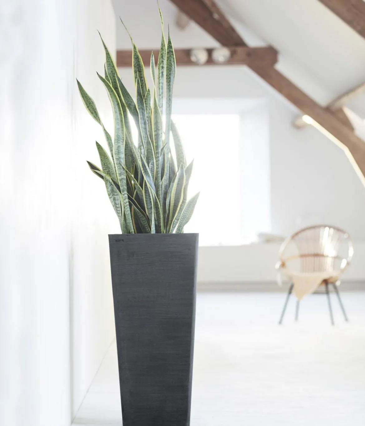 Ecopots Kunststoff-Topf Rotterdam Hoch, quadratisch