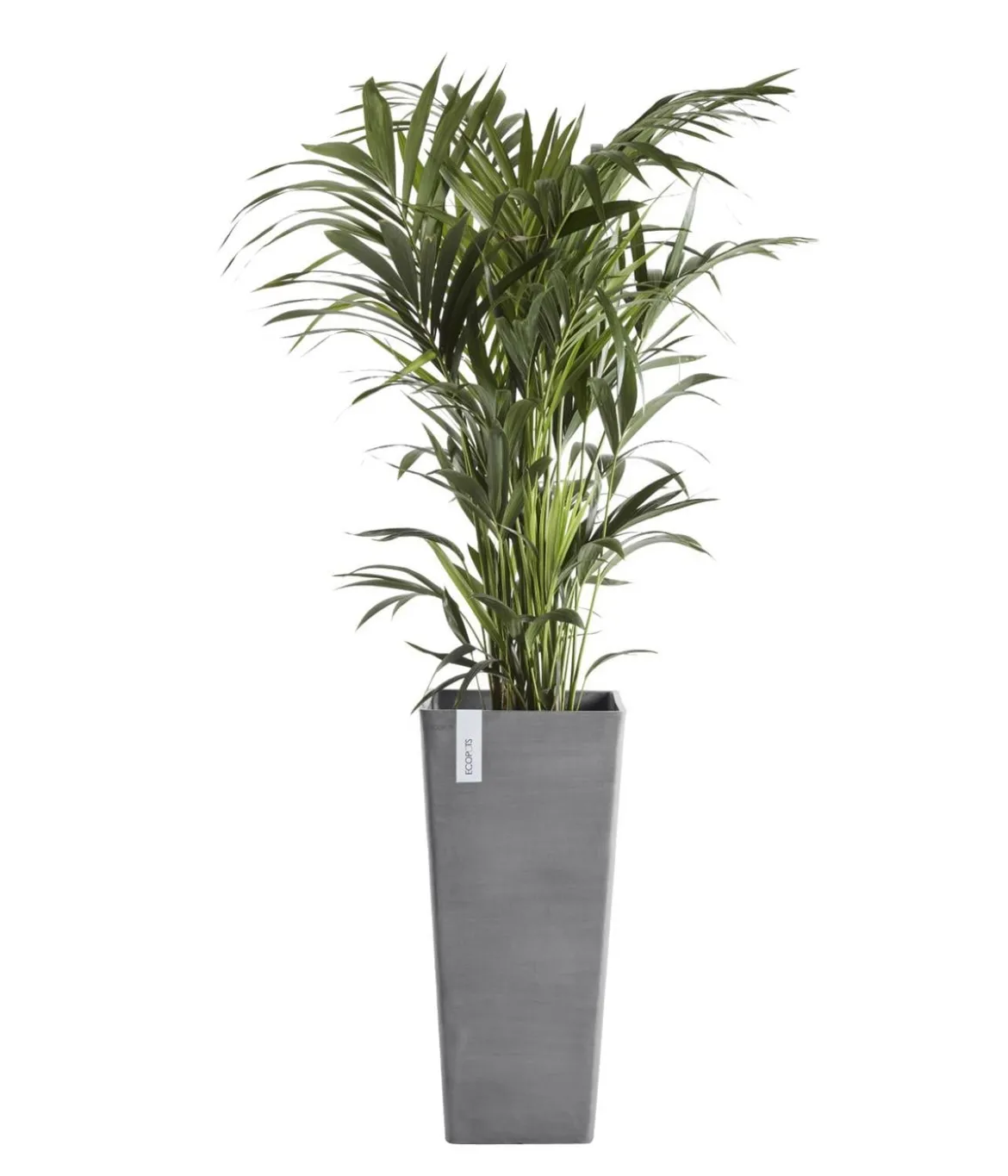 Ecopots Kunststoff-Topf Rotterdam Hoch, quadratisch