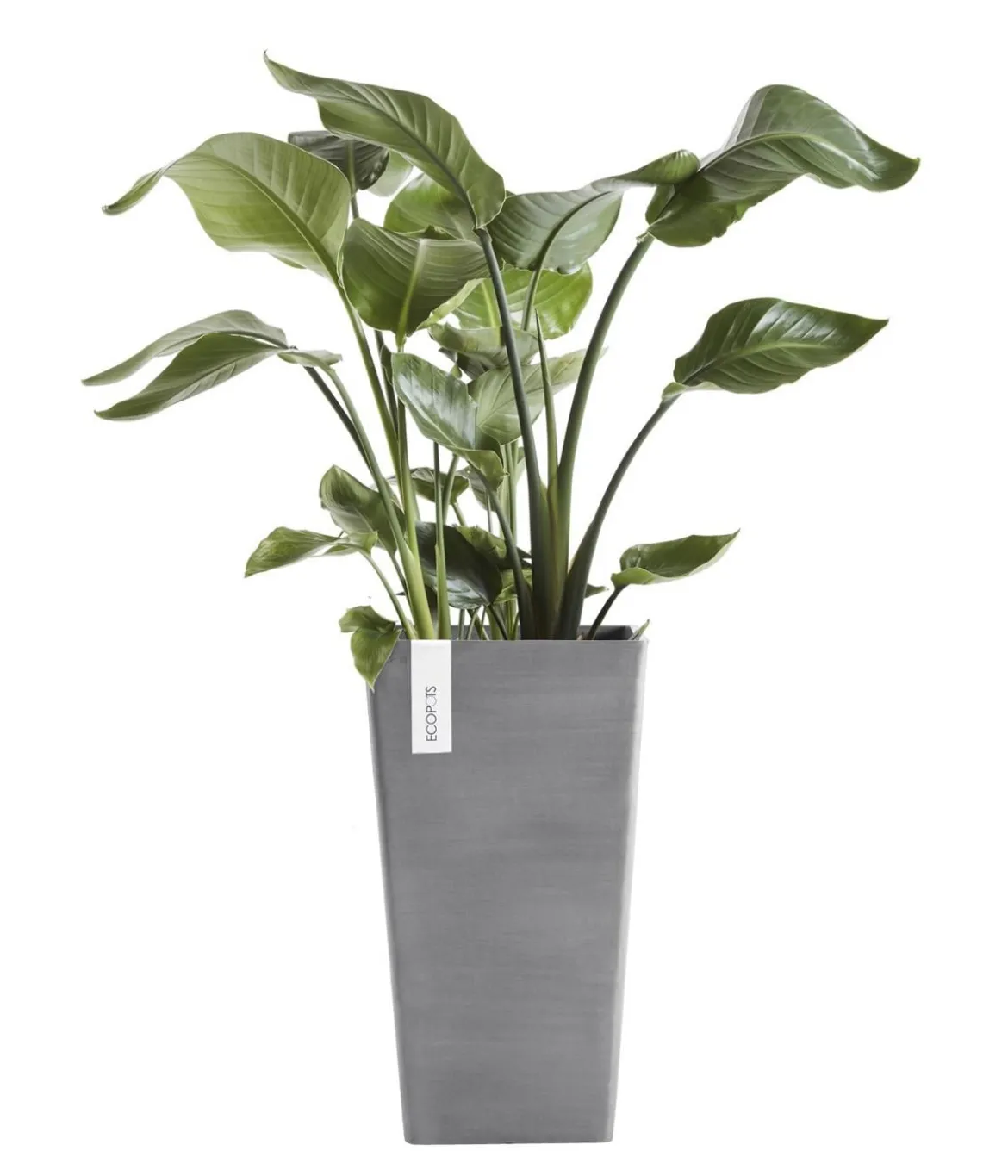 Ecopots Kunststoff-Topf Rotterdam Hoch, quadratisch