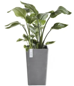 Ecopots Kunststoff-Topf Rotterdam Hoch, quadratisch