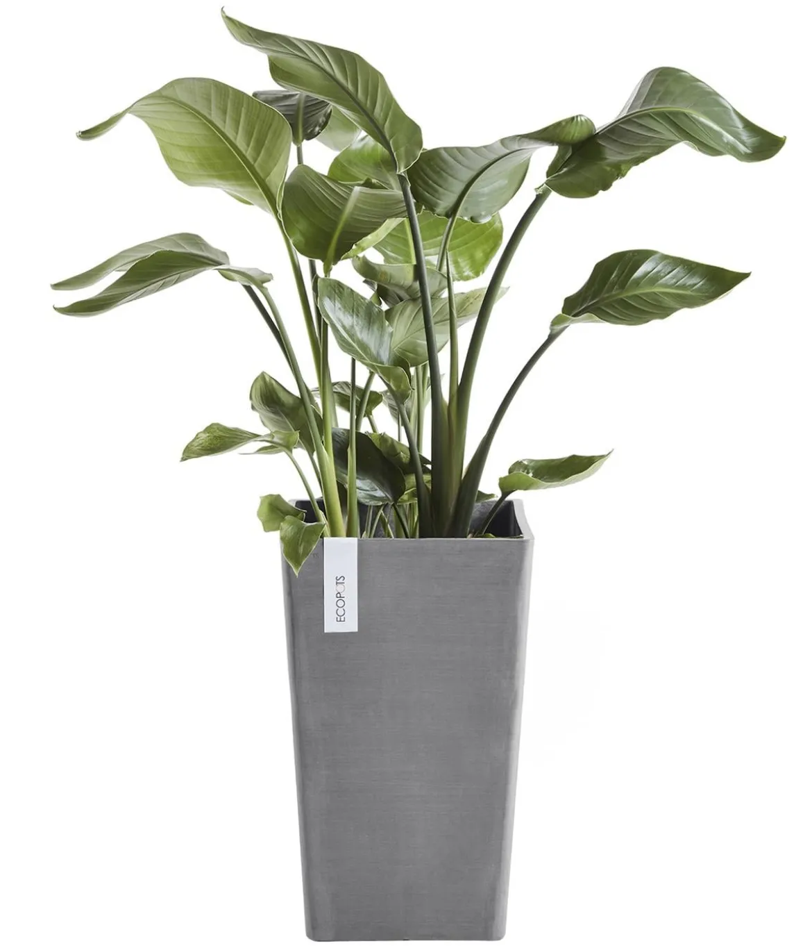 Ecopots Kunststoff-Topf Rotterdam Hoch, quadratisch