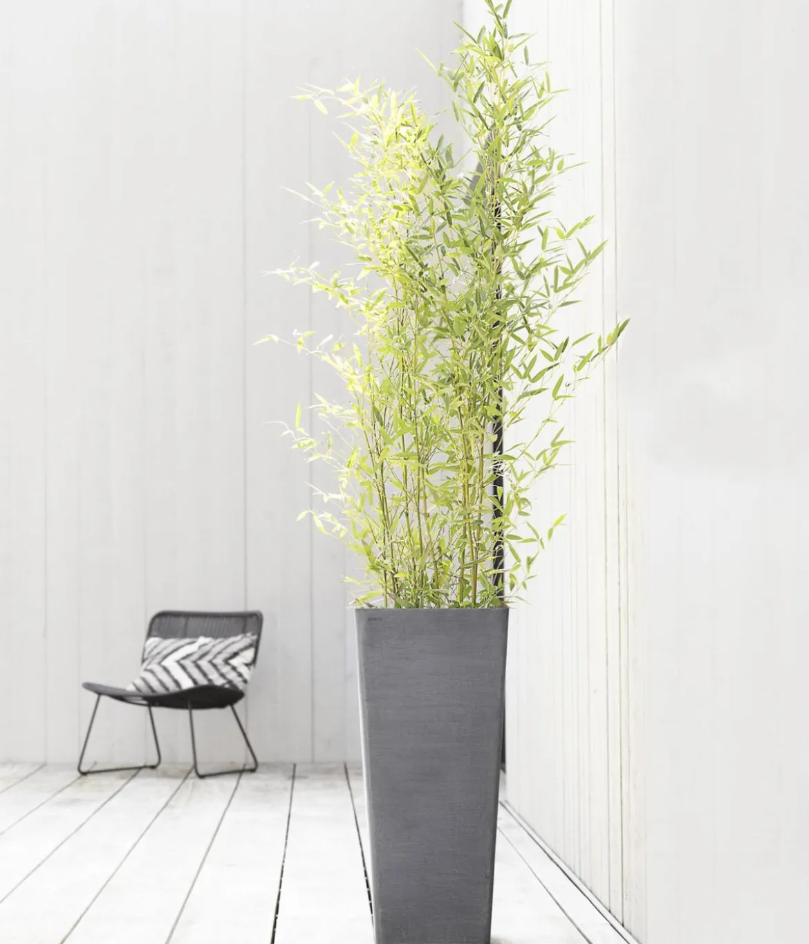 Ecopots Kunststoff-Topf Rotterdam Hoch, quadratisch