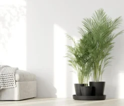 Ecopots Kunststoff-Topf-Set Dubai mit Untersetzer, 4-teilig