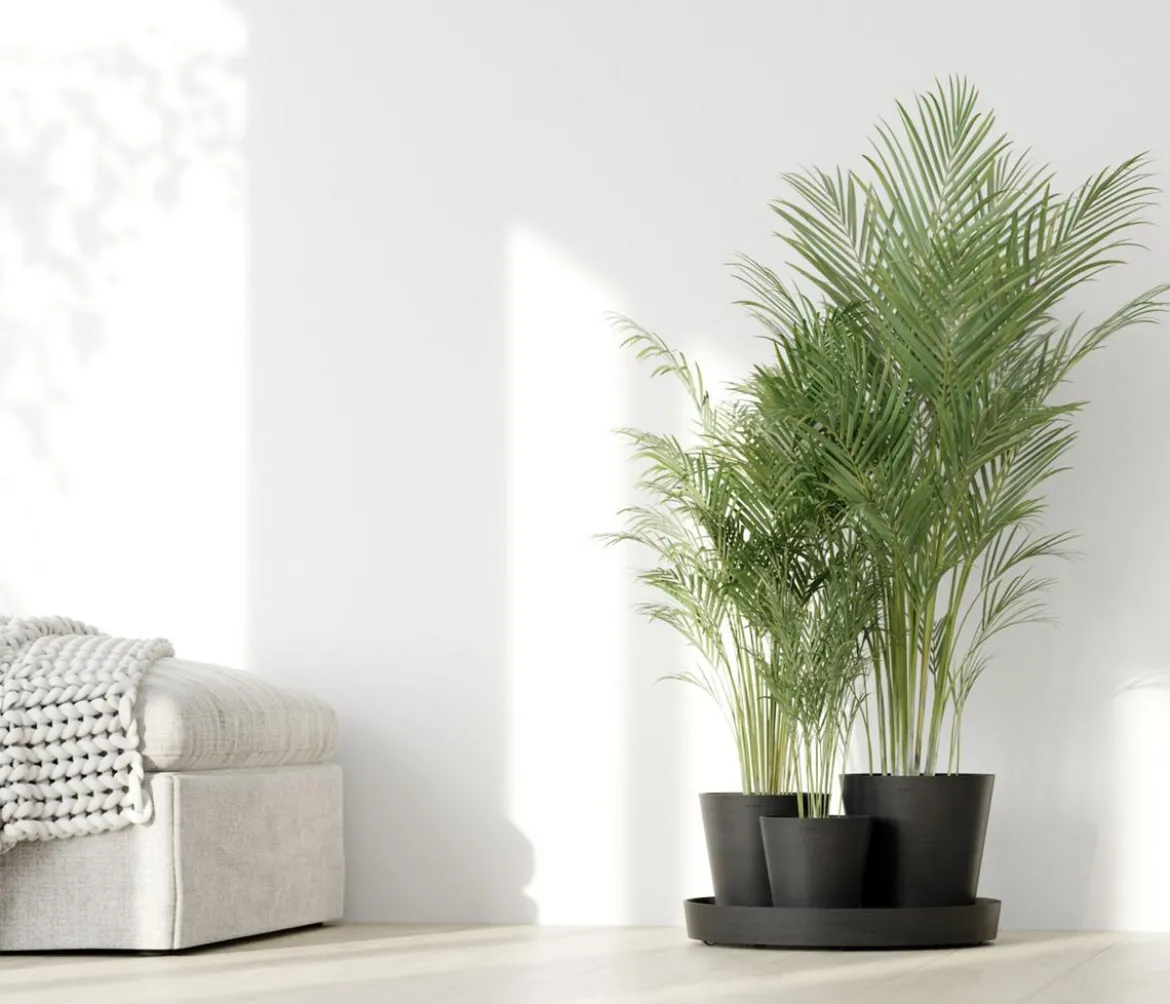 Ecopots Kunststoff-Topf-Set Dubai mit Untersetzer, 4-teilig