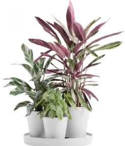 Ecopots Kunststoff-Topf-Set Dubai mit Untersetzer, 4-teilig