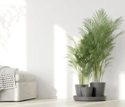 Ecopots Kunststoff-Topf-Set Dubai mit Untersetzer, 4-teilig